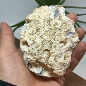 Alternative view of Gobi Agat på træfod