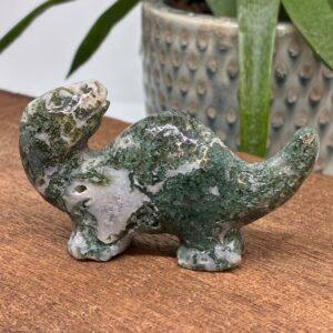 Dinosaurus Langhals Mos Agat