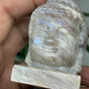 Buddha Hovede Månesten