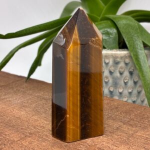 Tigerøje Tårn (skade på spids)