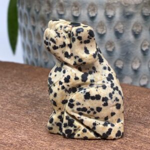 Hund Dalmatiner Jaspis