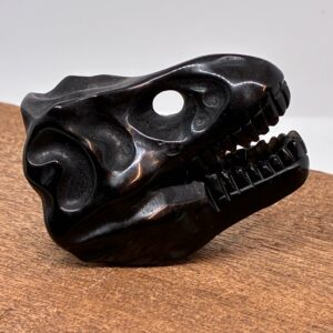 T-Rex Kranie Obsidian