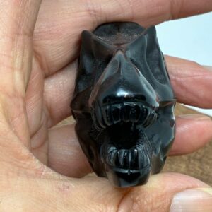 T-Rex Kranie Obsidian