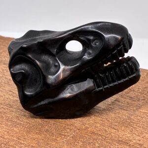 T-Rex Kranie Obsidian
