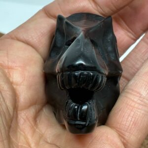 T-Rex Kranie Obsidian