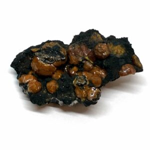 Kampylit fra England