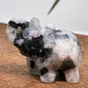 Elefant Regnbue Månesten