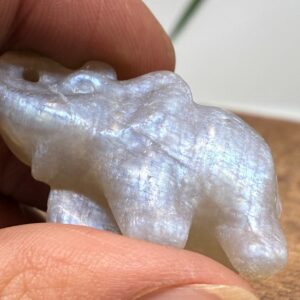 Elefant Månesten Blå Flash