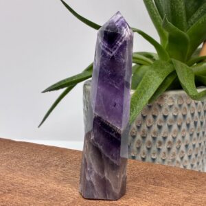 Alternative view of Båndametyst Tårn (14)