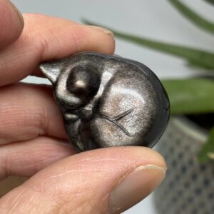 Kat Liggende Sølv Obsidian