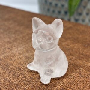 Mini Fransk Bulldog Bjergkrystal