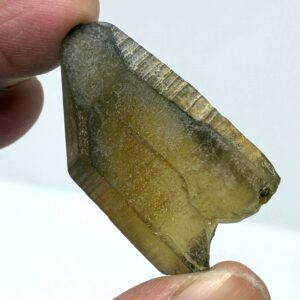 Naturlig Citrin Spids Fra Zambia