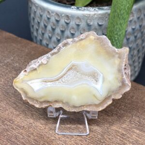 Agat Skive Natur Tyk