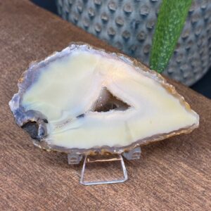 Agat Skive Natur Tyk