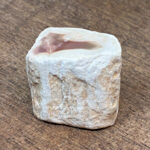 Forstenet Træ "Gren" Fossil