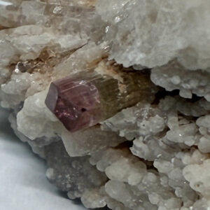 Bi-Colour Turmalin på Kvarts/Mica