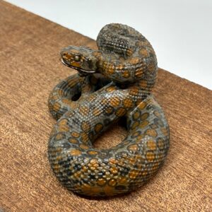 Slange Leopard Jaspis