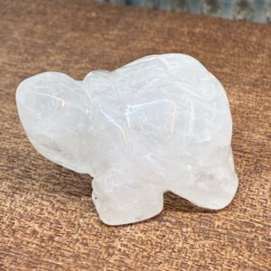 Skildpadde Bjergkrystal