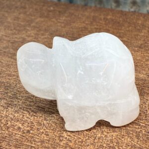 Skildpadde Bjergkrystal