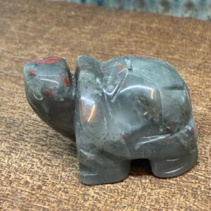 Skildpadde Drageblod