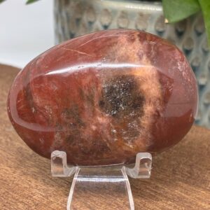 Forstenet Træ Palmstone