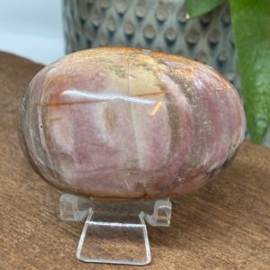 Forstenet Træ Palmstone