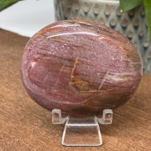 Forstenet Træ Palmstone