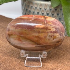 Forstenet Træ Palmstone