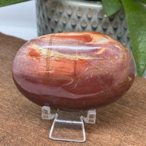 Forstenet Træ Palmstone