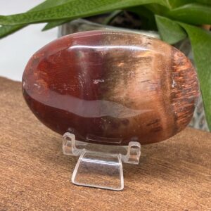 Forstenet Træ Palmstone