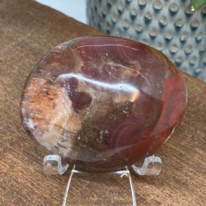 Forstenet Træ Palmstone