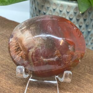 Forstenet Træ Palmstone