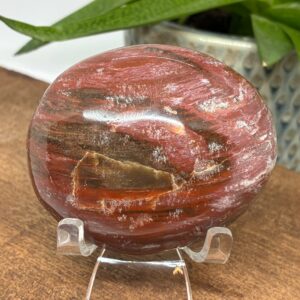 Forstenet Træ Palmstone