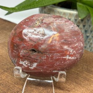 Forstenet Træ Palmstone