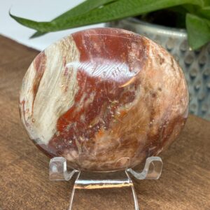 Forstenet Træ Palmstone