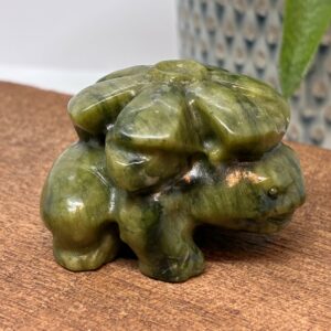 Pokemon Ivysaur (Bulbasaur Udvikling)