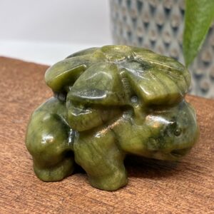 Pokemon Ivysaur (Bulbasaur Udvikling)